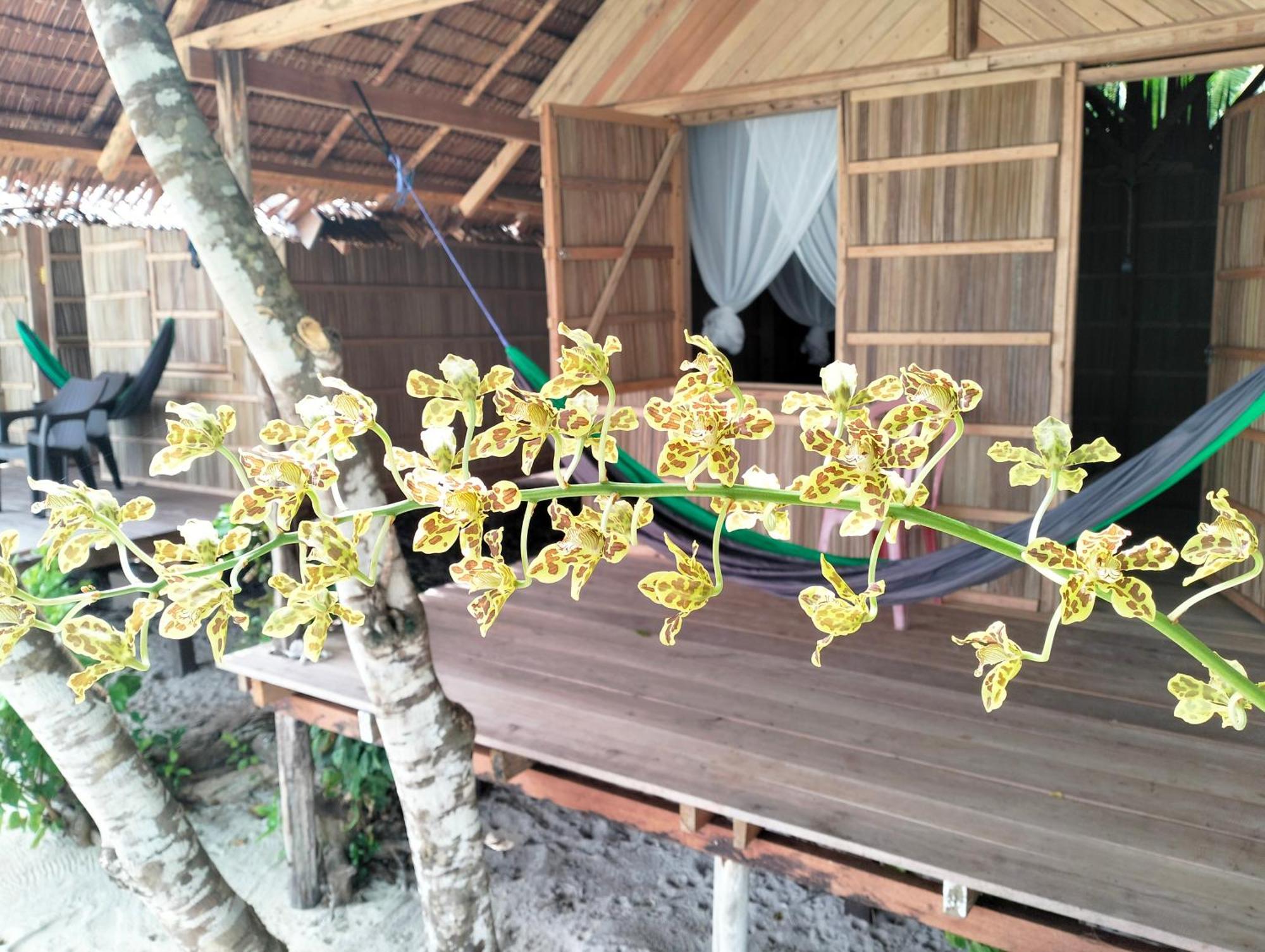 Mambetron Homestay Raja Ampat Pulau Mansuar Exteriér fotografie