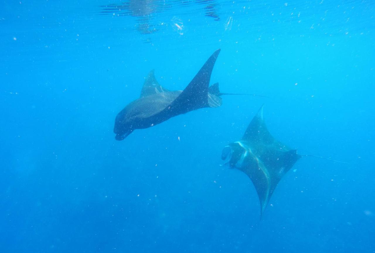 Mambetron Homestay Raja Ampat Pulau Mansuar Exteriér fotografie